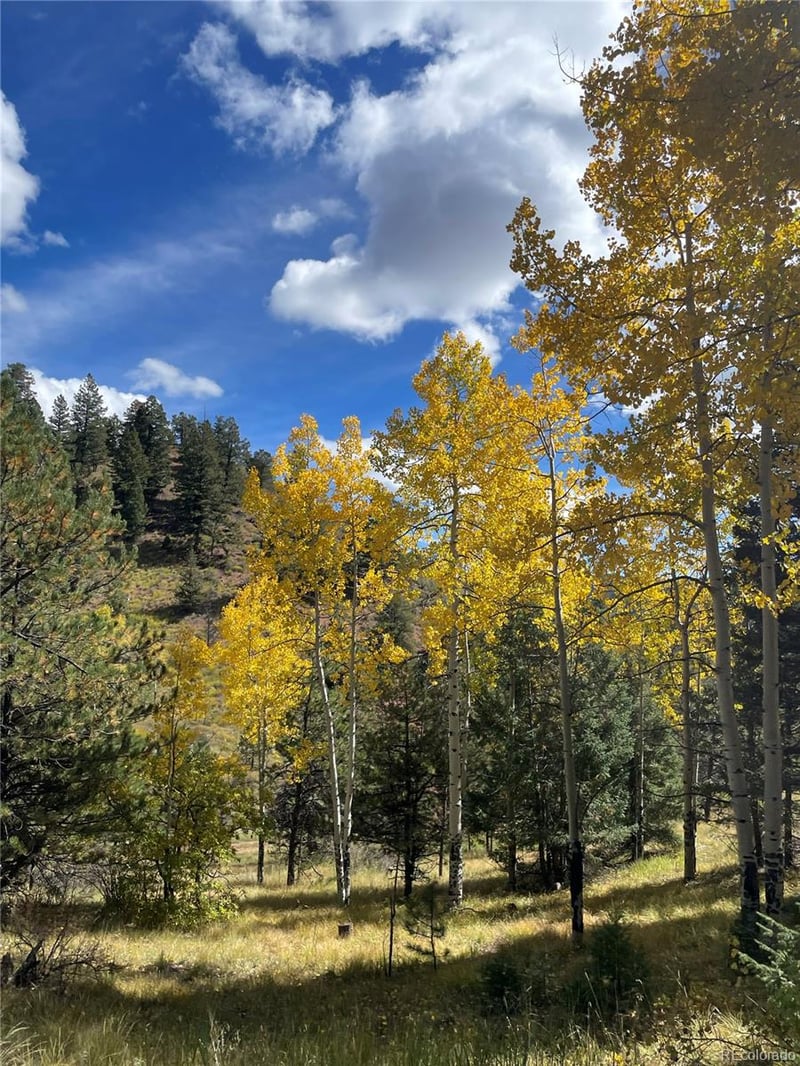 1342 Old Crystola Canyon Rd, Woodland Park, CO 80863