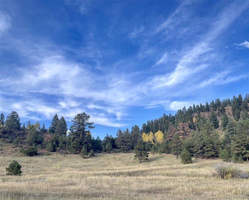 1342 Old Crystola Canyon Rd, Woodland Park, CO 80863