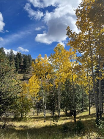 1342 Old Crystola Canyon Rd, Woodland Park, CO 80863