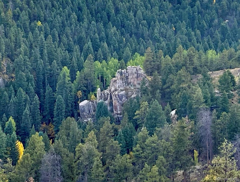 1342 Old Crystola Canyon Rd, Woodland Park, CO 80863