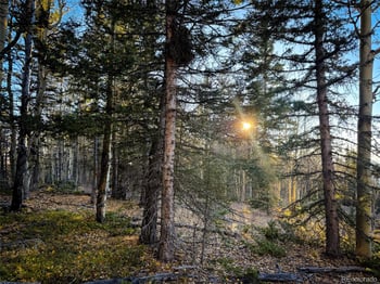 6817 Heckman Rd, San Luis, CO 81152