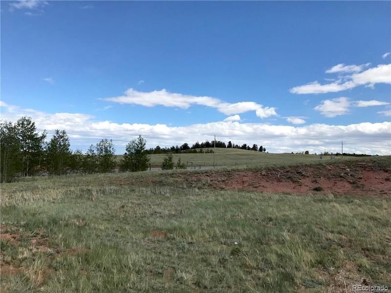 392 Cr 18 , Fairplay, CO 80440