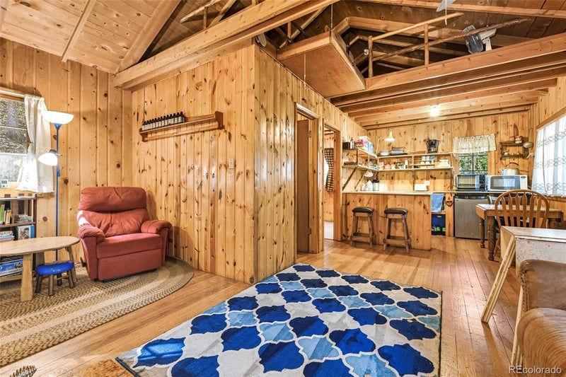 104 Usfs #383, Divide, CO 80814