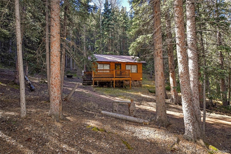 104 Usfs #383, Divide, CO 80814