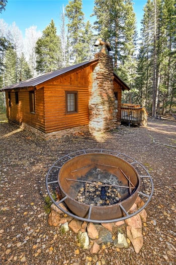 104 Usfs #383, Divide, CO 80814