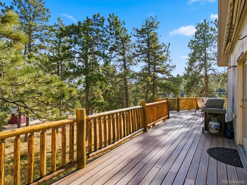 209 Pine Dr, Bailey, CO 80421