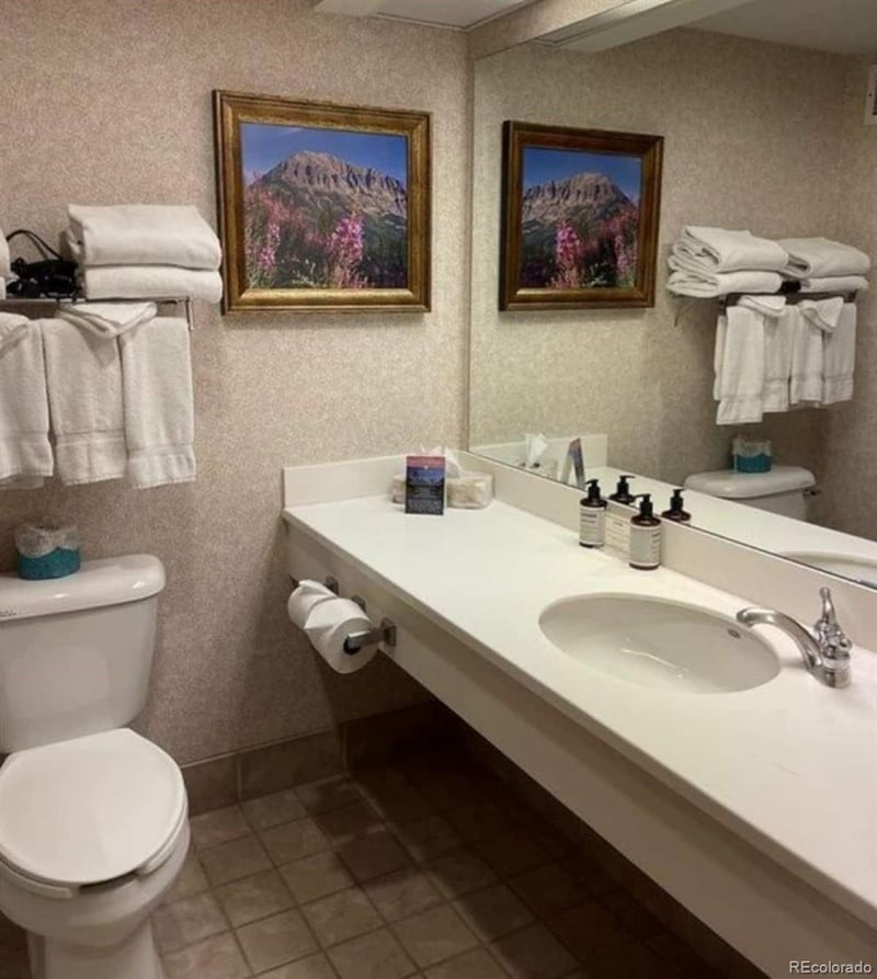 6 Emmons Rd #269, Crested Butte, CO 81225