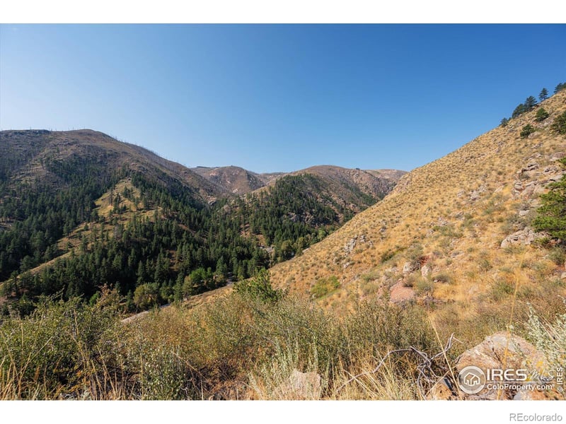 0 Pine Acres Way, Bellvue, CO 80512