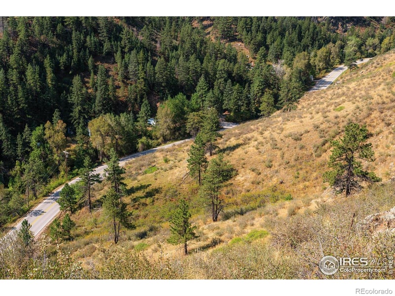0 Pine Acres Way, Bellvue, CO 80512