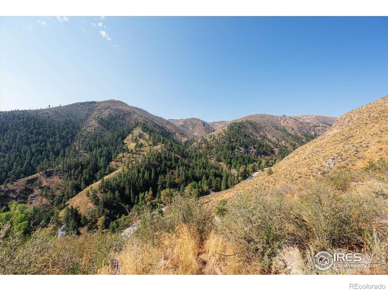 0 Pine Acres Way, Bellvue, CO 80512