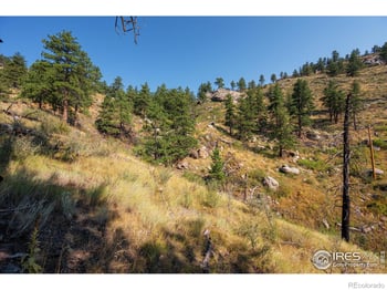 Pine Acres Way, Bellvue, CO 80512