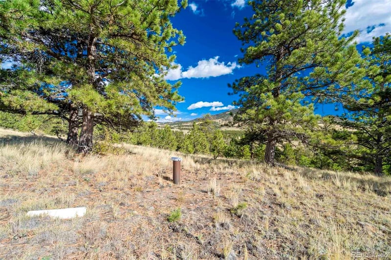 455 County Road 132, Guffey, CO 80820