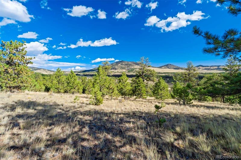 455 County Road 132, Guffey, CO 80820