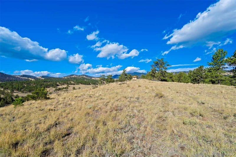 455 County Road 132, Guffey, CO 80820