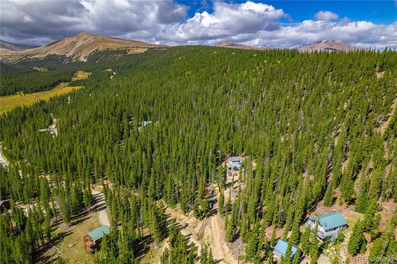280 Cr 14 A, Fairplay, CO 80440