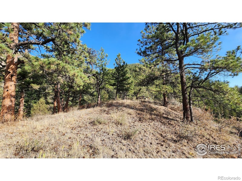 84 Copper Hill Rd, Glen Haven, CO 80532