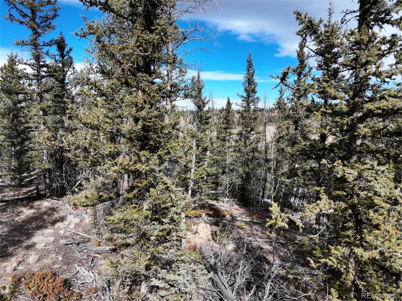 805 Longbow Dr, Como, CO 80432