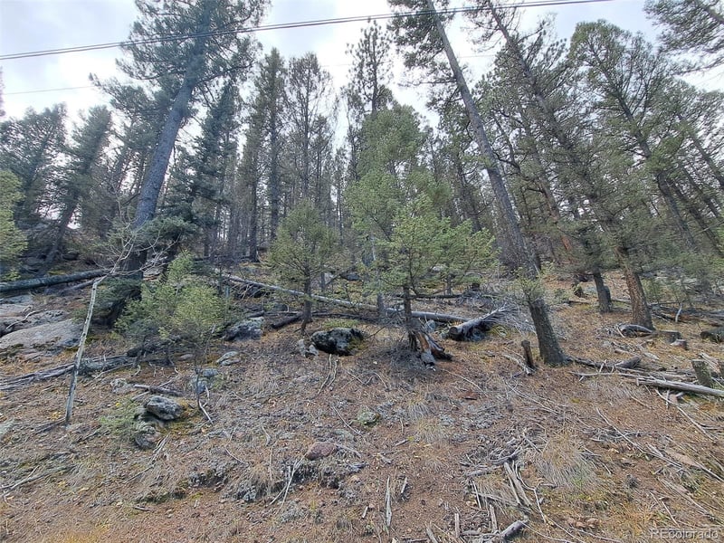 1077 Roland Dr, Bailey, CO 80421