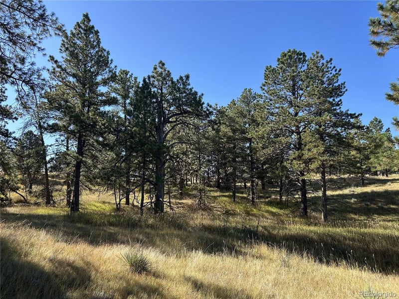 10856 Tomahawk Rd, Parker, CO 80138