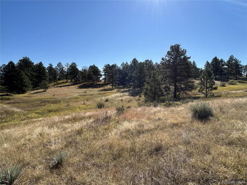 10856 Tomahawk Rd, Parker, CO 80138