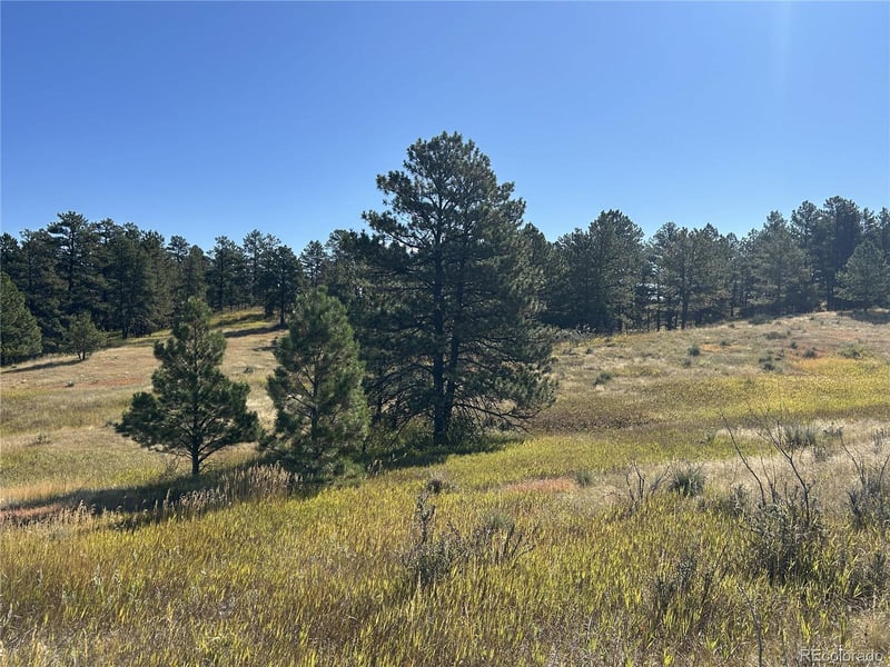 10856 Tomahawk Rd, Parker, CO 80138