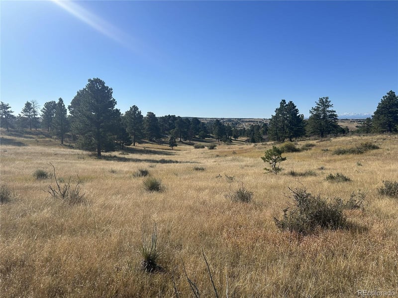 10856 Tomahawk Rd, Parker, CO 80138