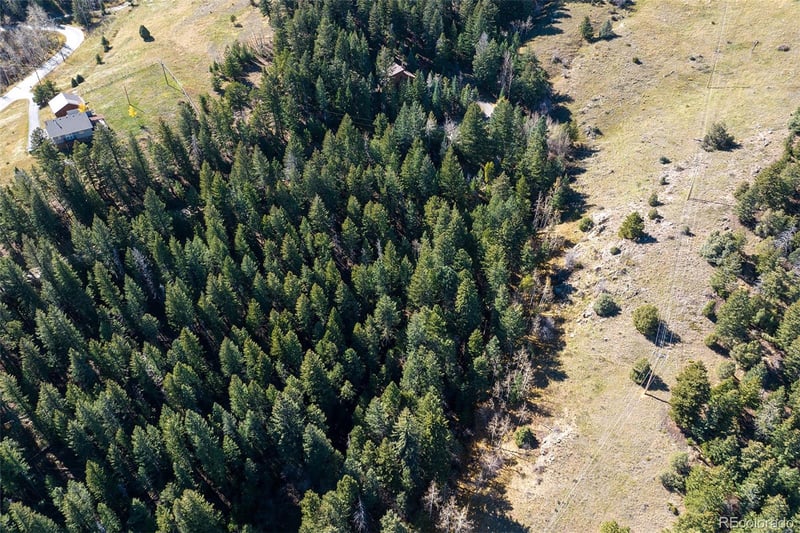 76 Ponderosa Pl, Evergreen, CO 80439