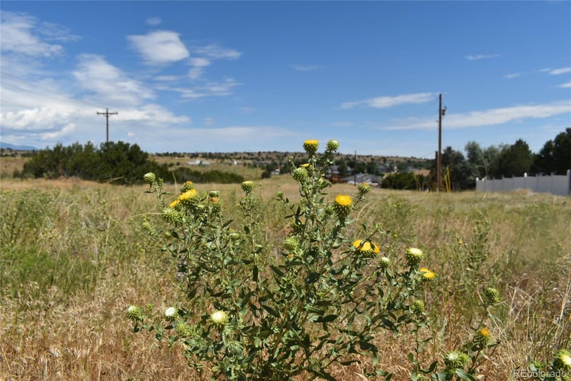 000 2nd St Lot 15-16-17, Walsenburg, CO 81089