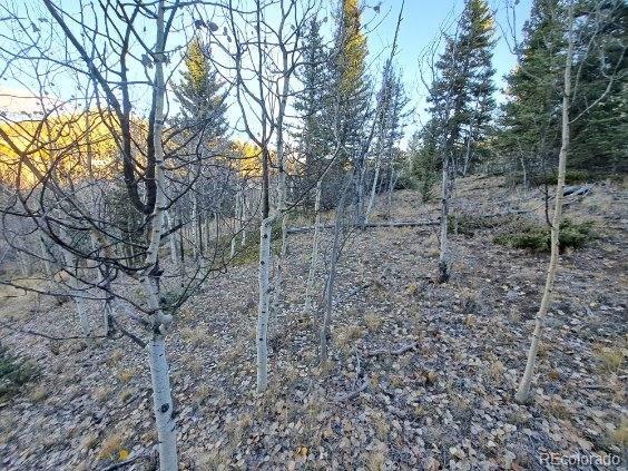 00 Haida Ln, Como, CO 80432