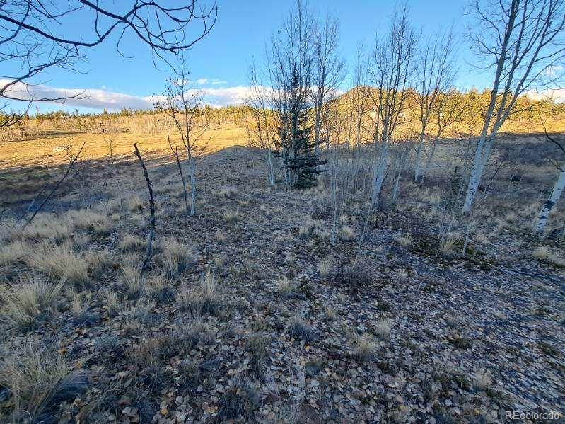 00 Haida Ln, Como, CO 80432