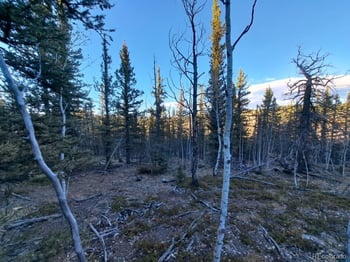 00 Haida Ln, Como, CO 80432