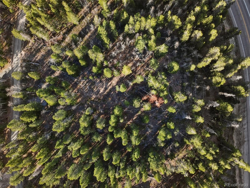 86 Severance Lodge Rd, Black Hawk, CO 80422