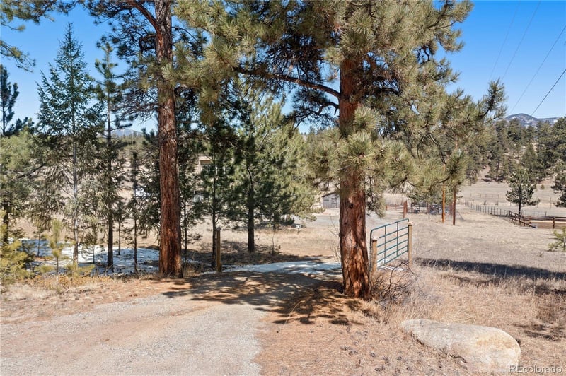 1819 Nova Rd, Pine, CO 80470