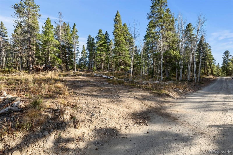 84 Severance Lodge Rd, Black Hawk, CO 80422