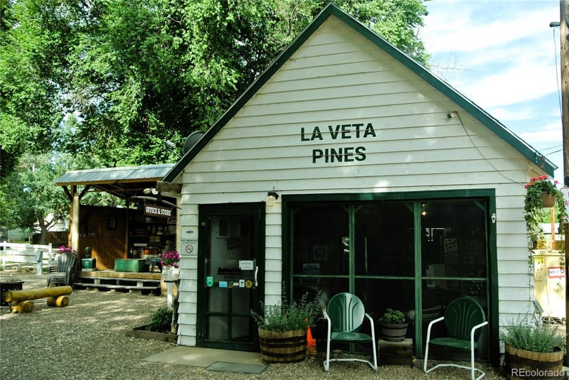 226 W Grand St, La Veta, CO 81055