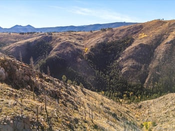 718 Emerson Gulch Rd, Boulder, CO 80302