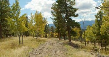 12434 S Us Hwy 285, Conifer, CO 80433