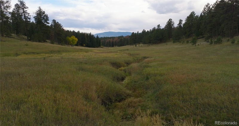 12434 Us Hwy 285, Conifer, CO 80433