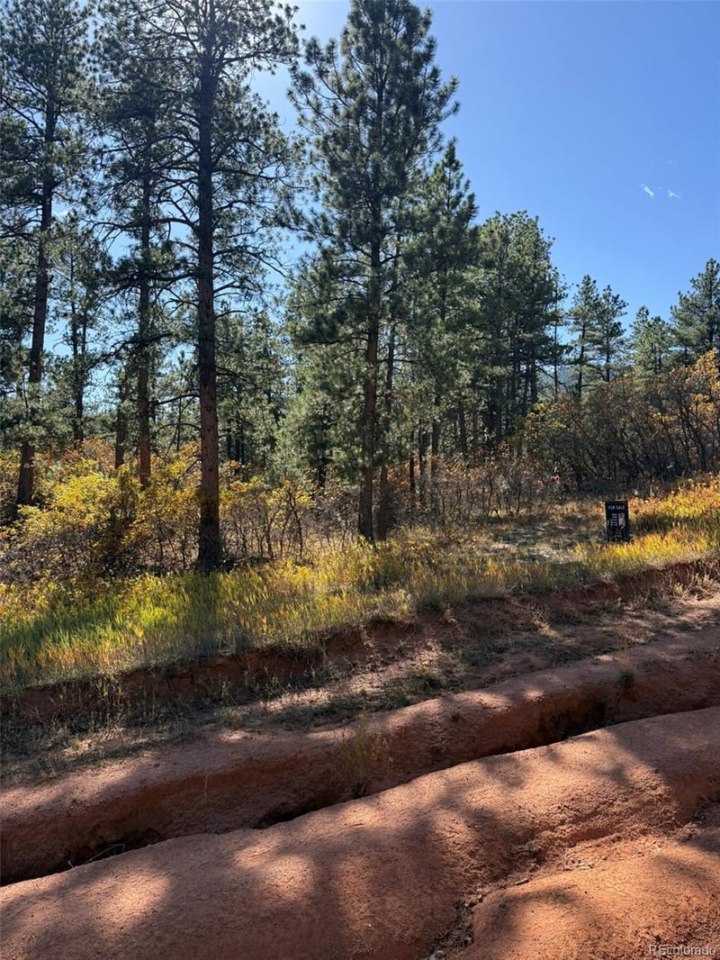 8181 Bannock Dr, Larkspur, CO 80118