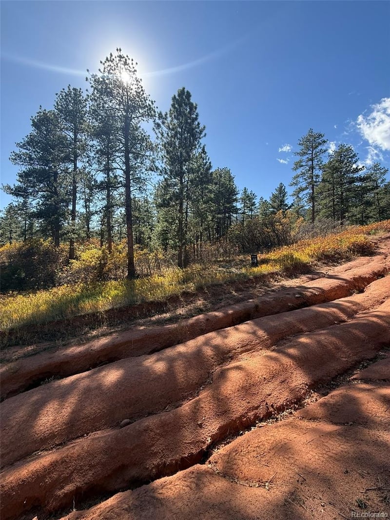 8181 Bannock Dr, Larkspur, CO 80118