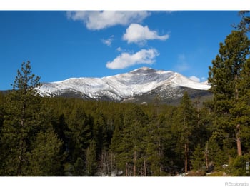 1997 Big Owl Rd, Allenspark, CO 80510