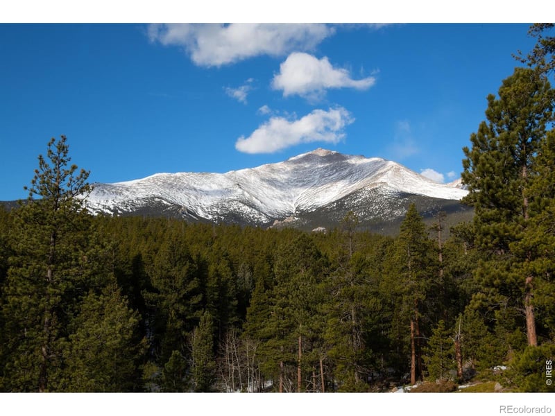 1997 Big Owl Rd, Allenspark, CO 80510