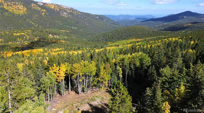 429 Sawmill Ln, Idaho Springs, CO 80452