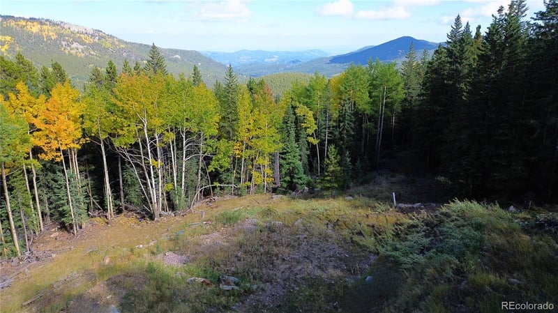 429 Sawmill Ln, Idaho Springs, CO 80452