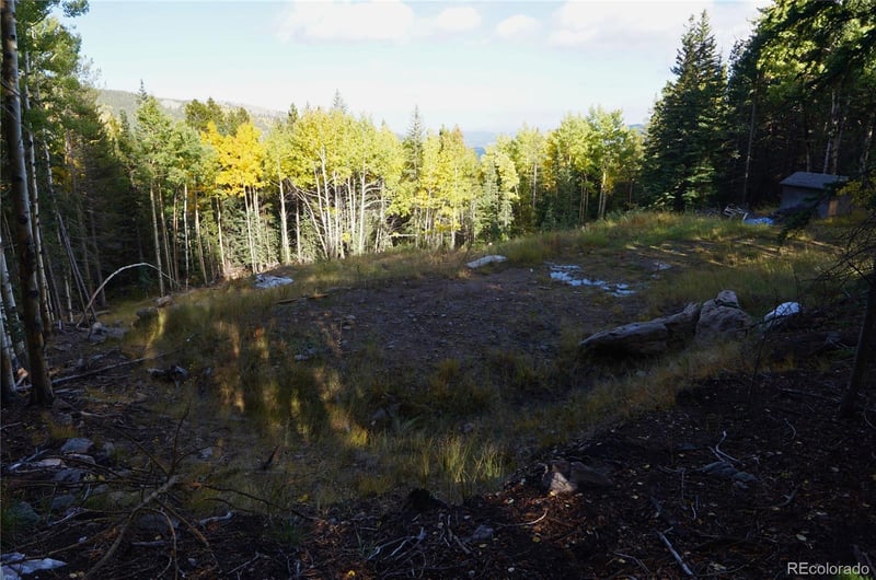 429 Sawmill Ln, Idaho Springs, CO 80452