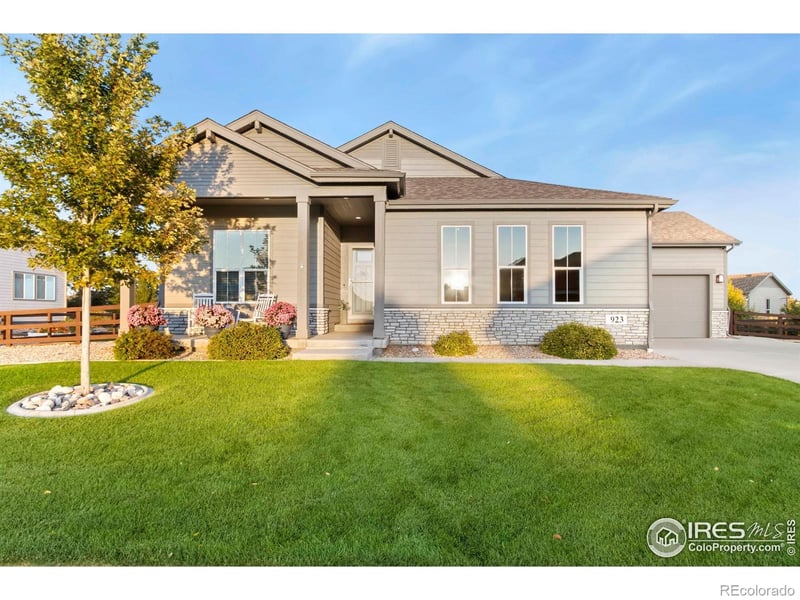 923 Pitch Fork Dr, Windsor, CO 80550