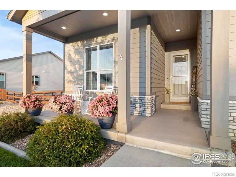 923 Pitch Fork Dr, Windsor, CO 80550