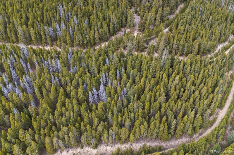 773 Harris Cir, Idaho Springs, CO 80452