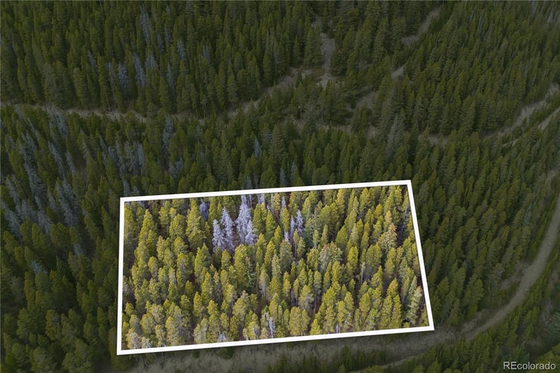 773 Harris Cir, Idaho Springs, CO 80452