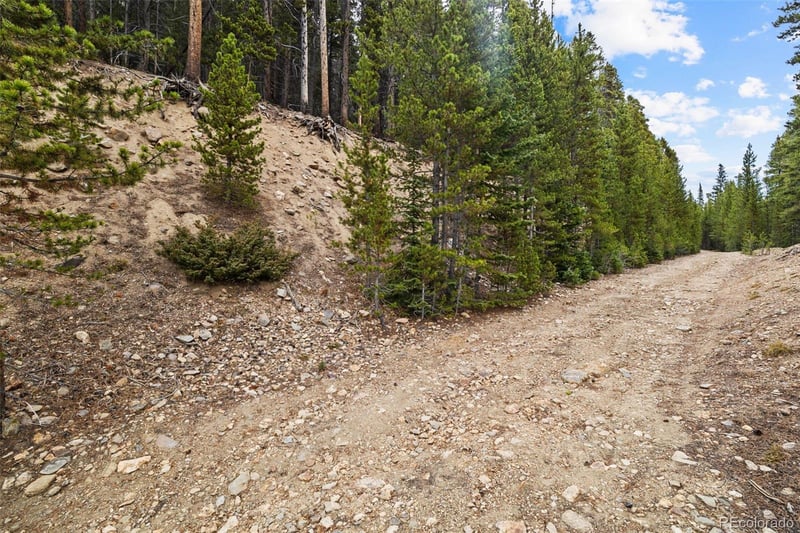 773 Harris Cir, Idaho Springs, CO 80452